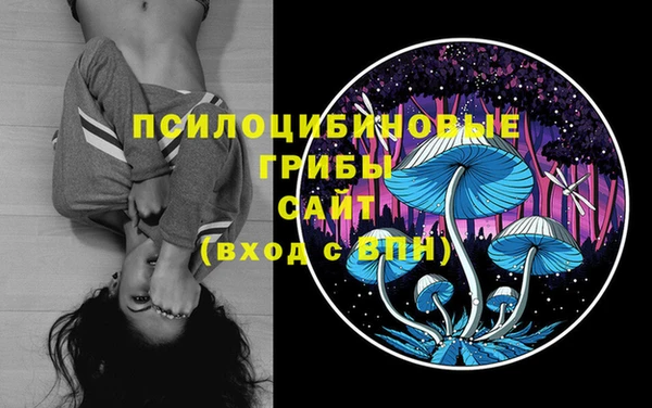твердый Алексеевка