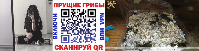 Псилоцибиновые грибы прущие грибы  купить наркотик  Дмитриев 