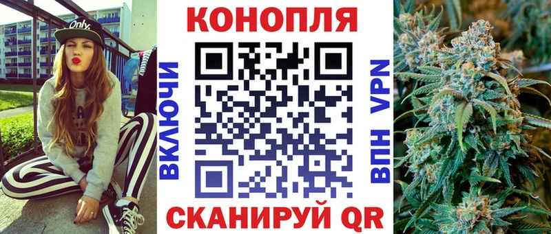 закладка  Дмитриев  Канабис Ganja 
